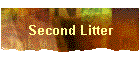 Second Litter